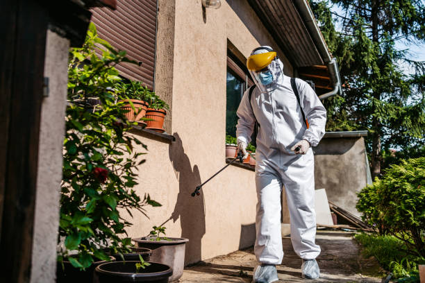 Best Affordable Pest Control Services  in Krebs, OK