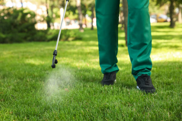 Best Exterminator Services  in Krebs, OK