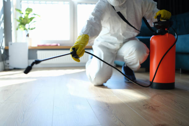 Professional Pest Control in Krebs, OK