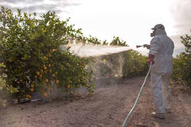 Best Best Pest Control Companies  in Krebs, OK