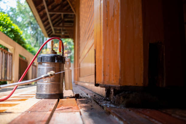 Best Cockroach Control Services  in Krebs, OK