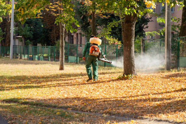 Best Bed Bug Extermination  in Krebs, OK