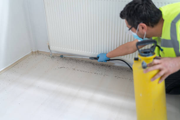 Best Pest Control for Homes  in Krebs, OK